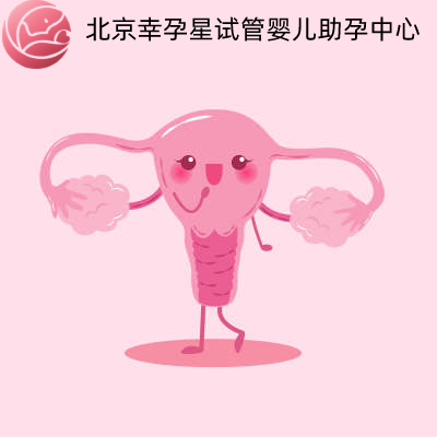 北京幸孕星试管婴儿助孕中心输卵管堵塞能做试管婴儿吗
